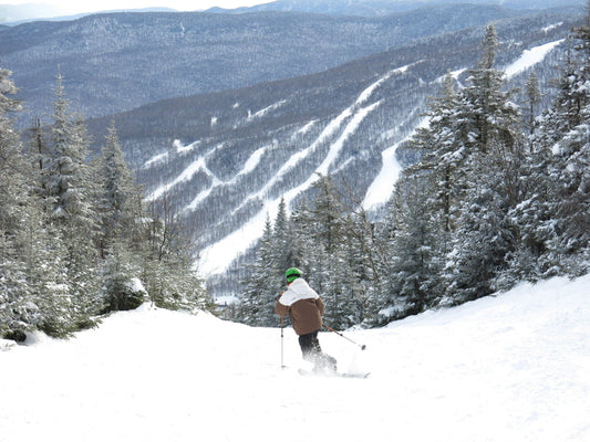 Premier Gear: Meidjo Telemark Bindings