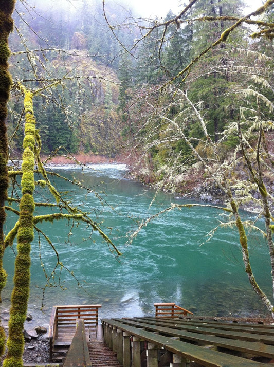 Trip Report: Mount Hood National Forest