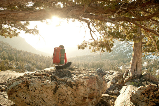 Brand Spotlight: Gregory Packs