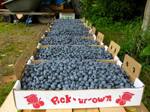 Four Burlington Area Day Trips You Can Pull Off Without A Plan