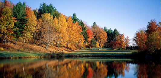 The DOs and DON'Ts For Leaf-Peeping Season
