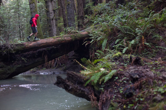5 Rain Jackets That Won't Break the Bank