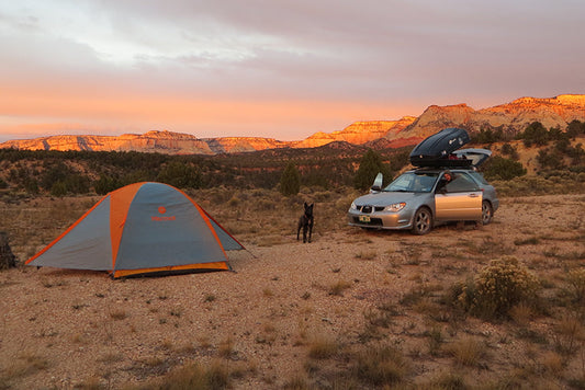 Road Tripping: The Car Camper's Guide