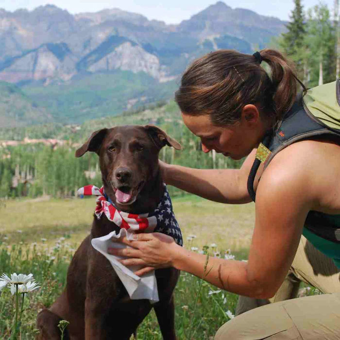 AMK - Adventure Dog Wipes