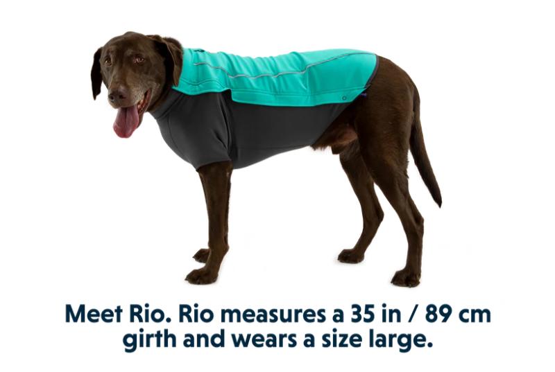 Ruffwear - Cloud Chaser Jacket - Aurora Teal