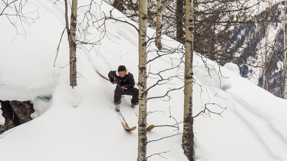 Altai - Tiak Ski Pole