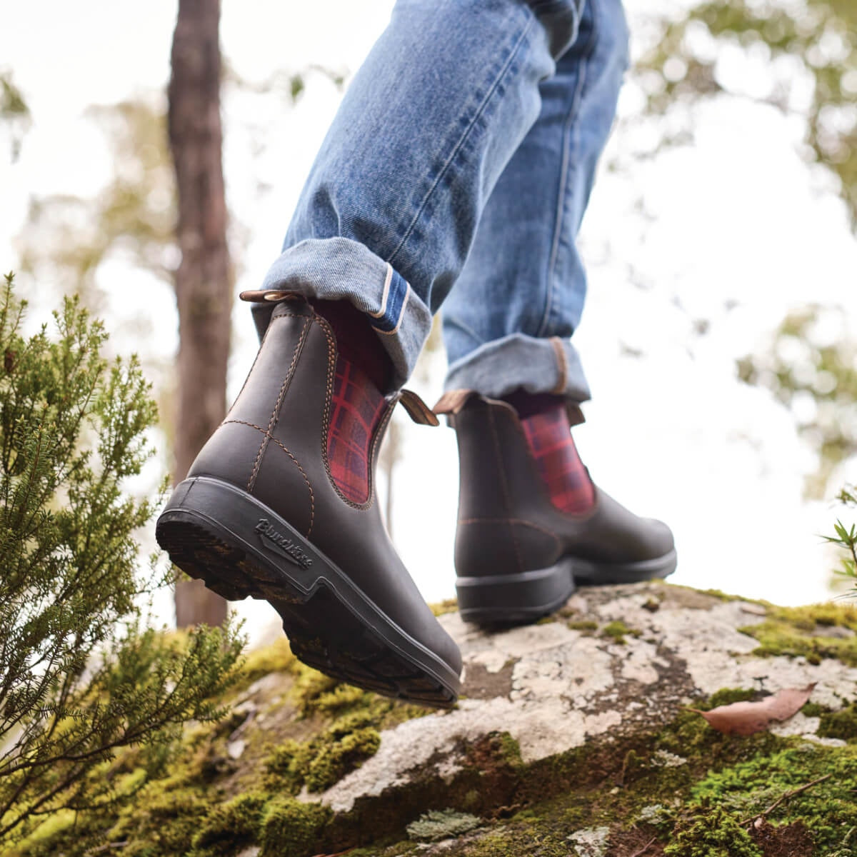 Blundstone - 2100 Boots - Men's - Stout Brown/Burgandy