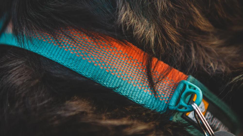 Ruffwear - Front Range Collar - River Rock Green