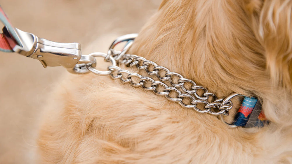 Ruffwear - Chain Reaction Collar