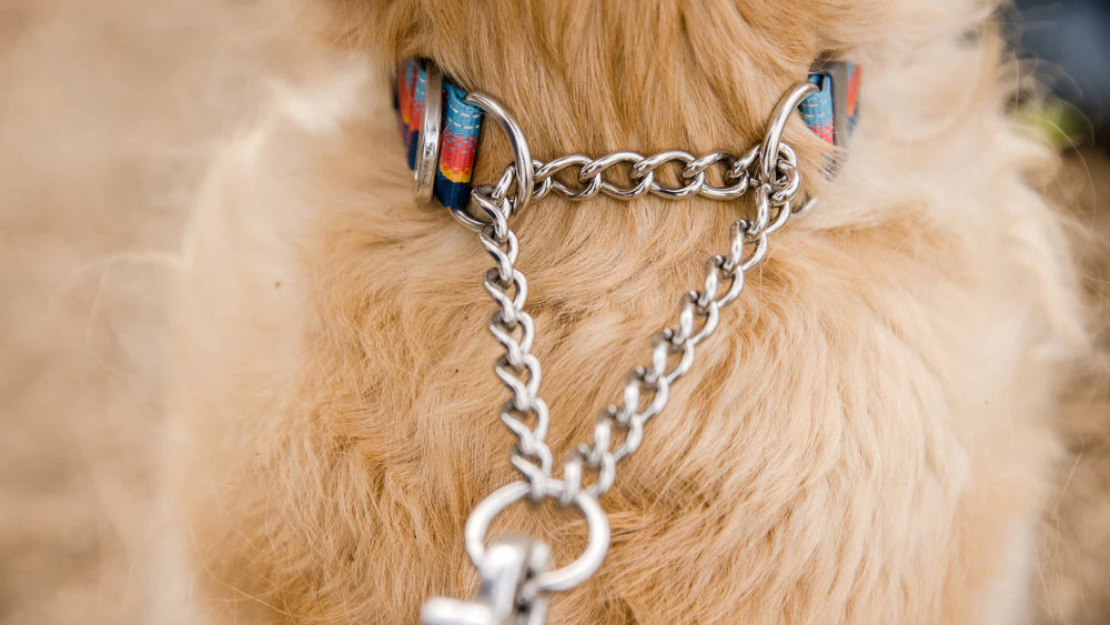 Ruffwear - Chain Reaction Collar