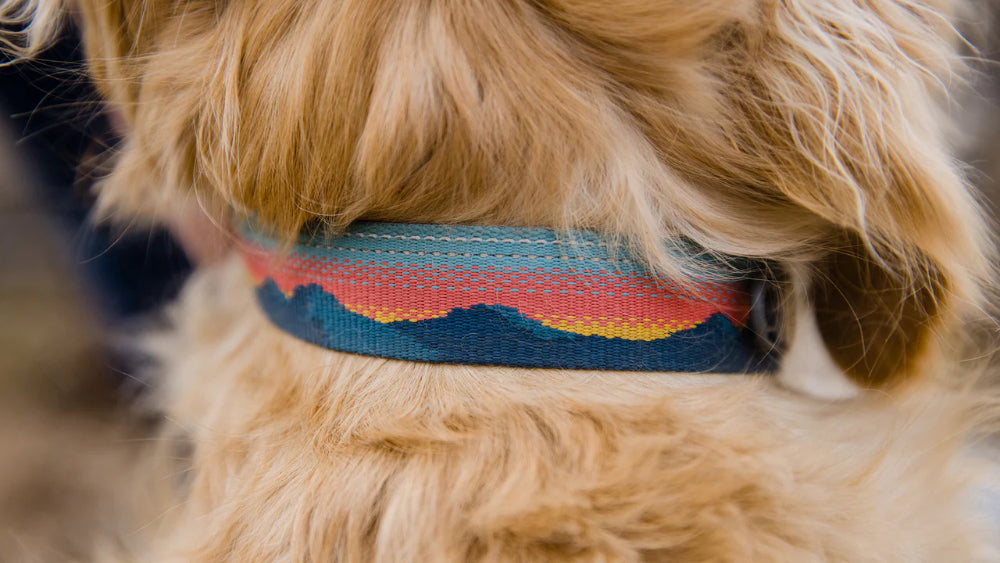 Ruffwear - Chain Reaction Collar