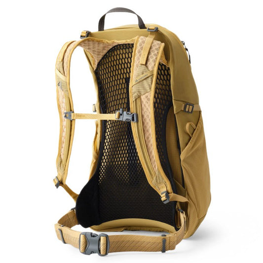 Gregory - Arrio 24 - AMBER HAZE