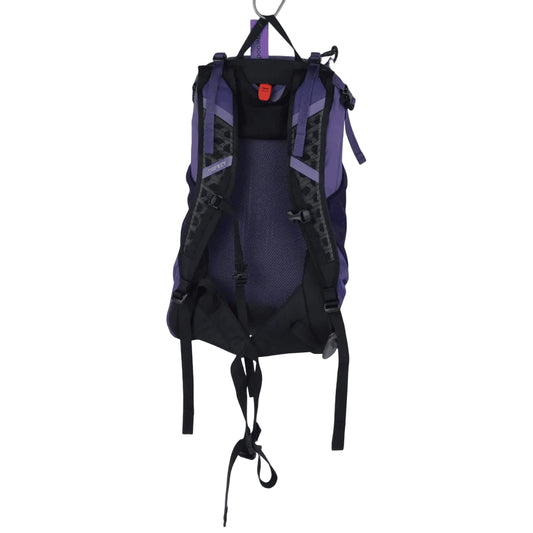 Osprey Hikelite 22