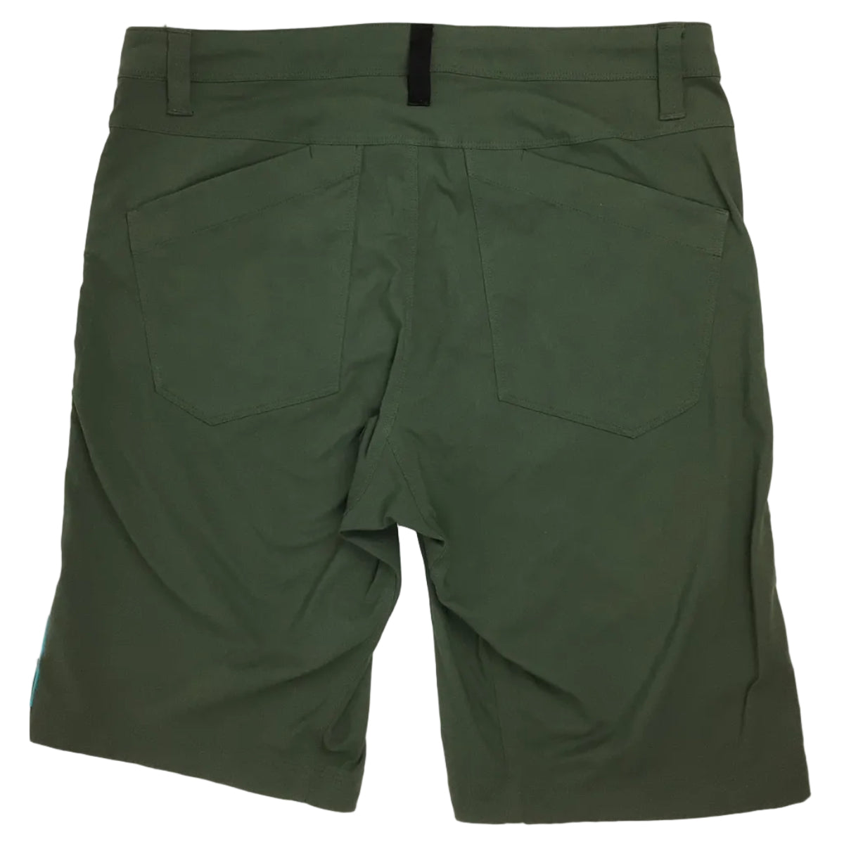 Arcteryx Tech Shorts Men 32 Grn