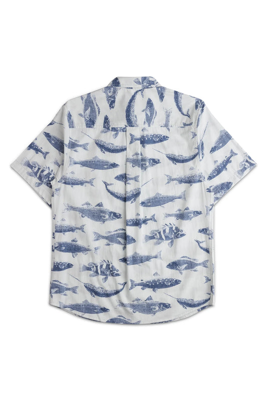 Kavu - Topspot - Big Blue Fish