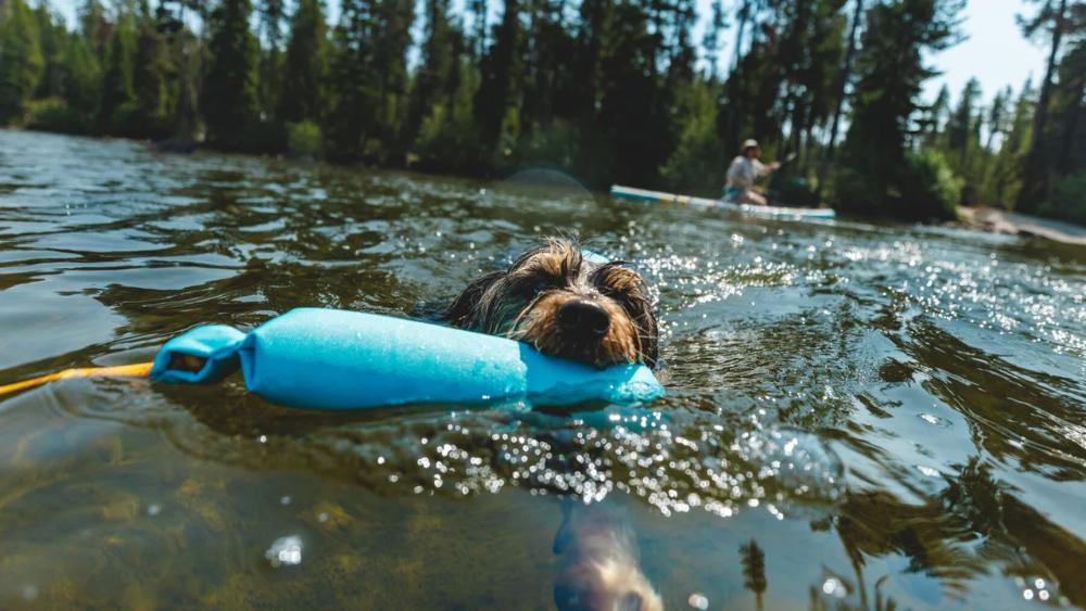 Ruffwear - Lunker Toy