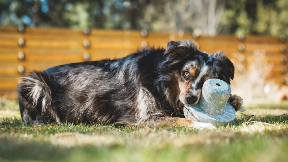 Ruffwear - Porcini Toy