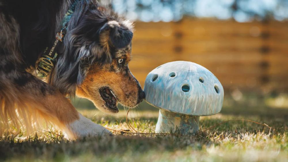 Ruffwear - Porcini Toy