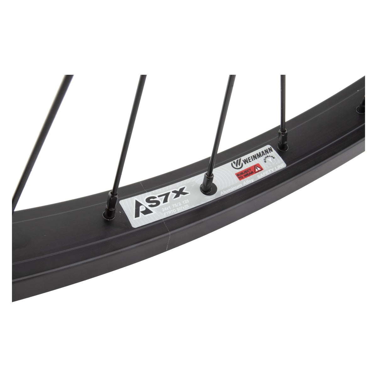 Wheel Master - 24x1.75 Bolt On 1-Sp Rear Wheel - Black - Black