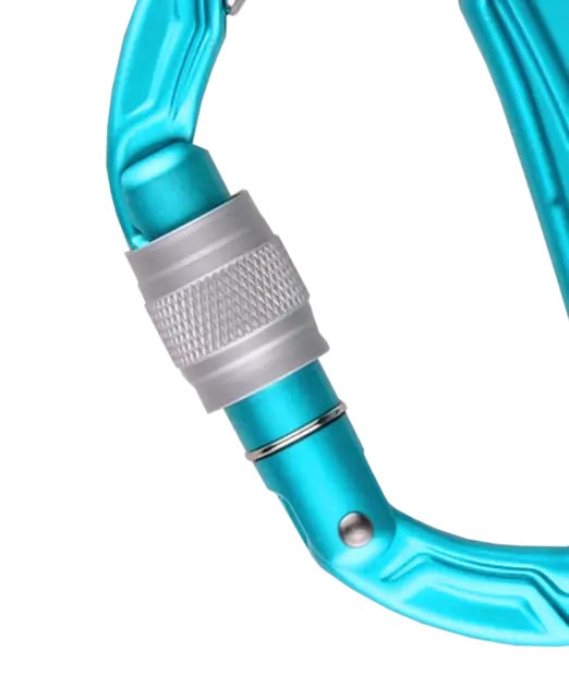 Edelrid - Bulletproof Screw - Icemint