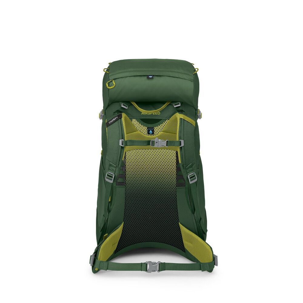 Osprey - Ace 38 - Green Canopy
