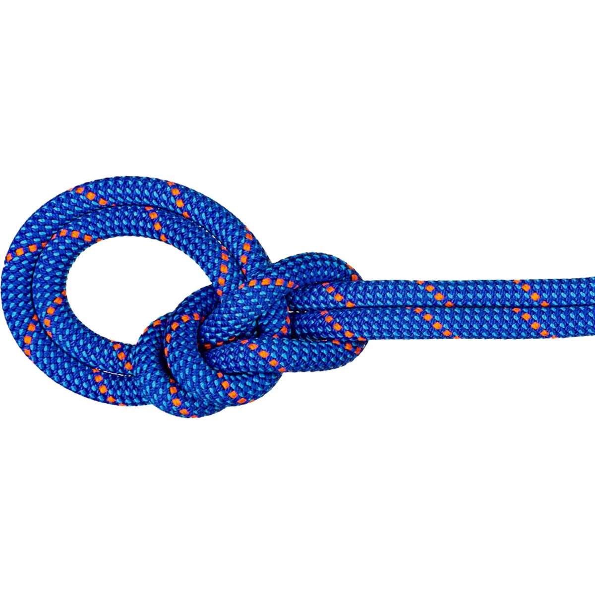 Mammut - 9.5 Crag Dry Rope - Blue/Ocean