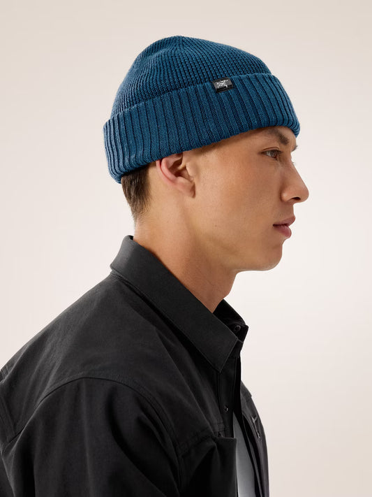 Arc'teryx - Mallow Toque - Nightscape