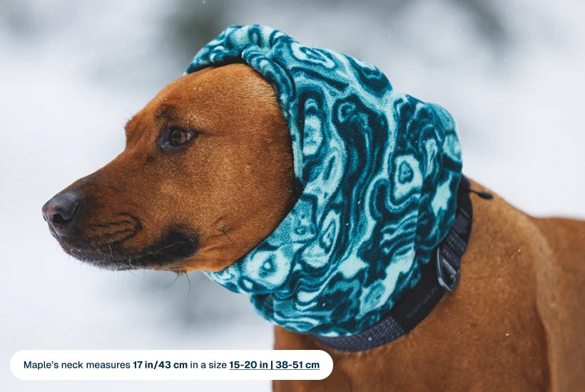 Ruffwear - Mt. Hoodie Warming Neck Gaiter - Deep Teal