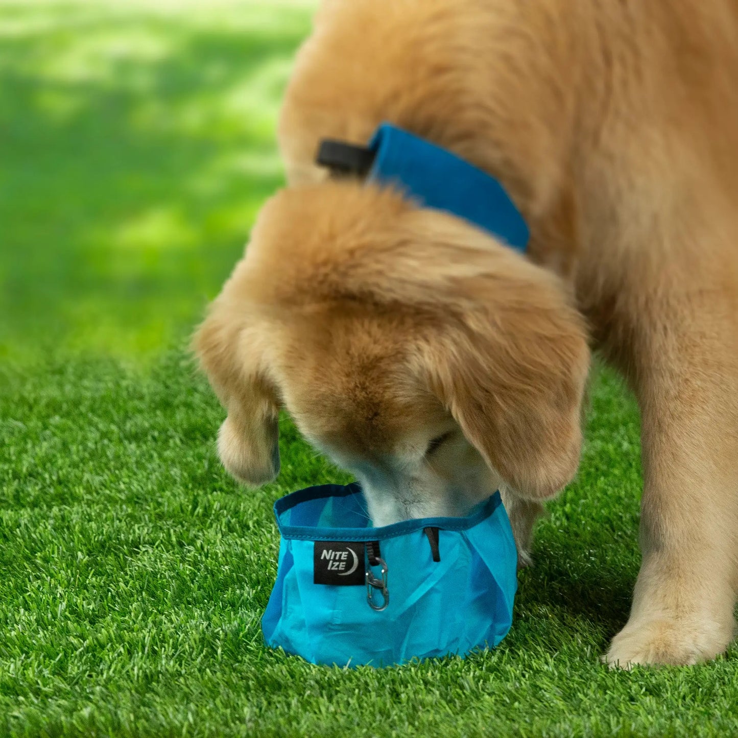 Nite Ize - Rad Dog Collapsible Bowl - Blue