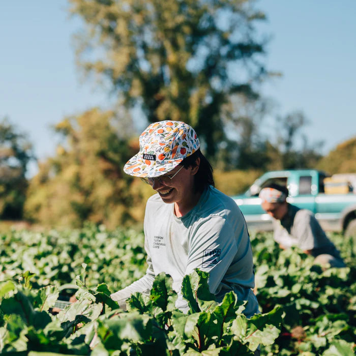 Skida - Brim Hat - Gather