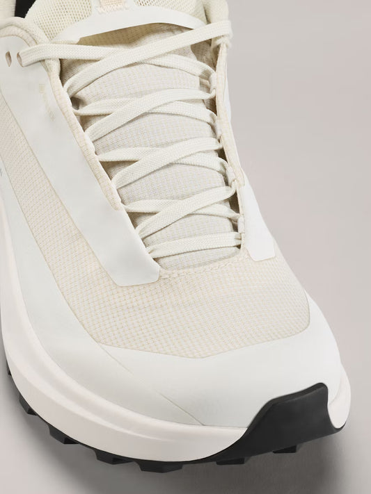 Arc'teryx - Norvan LD 4 GTX - Women's - Arctic Silk/Arctic Silk