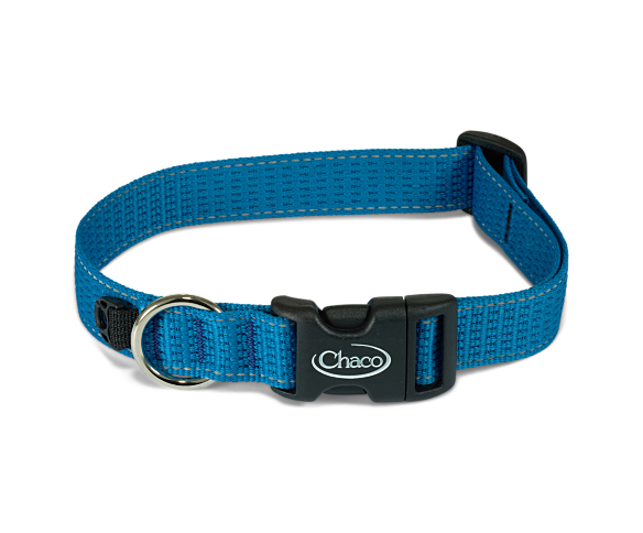 Chaco - Dog Collar - Static Black