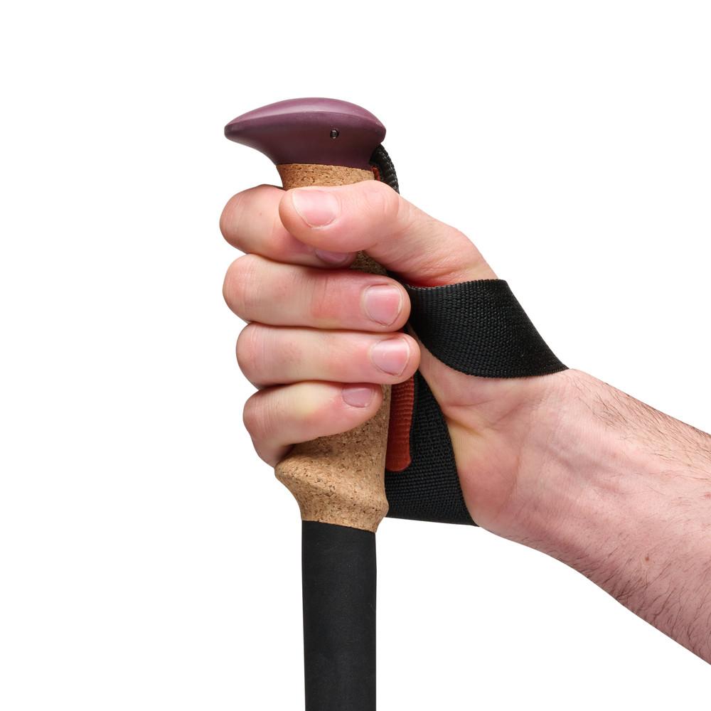 Black Diamond - Trail Cork Trekking Poles - Fig