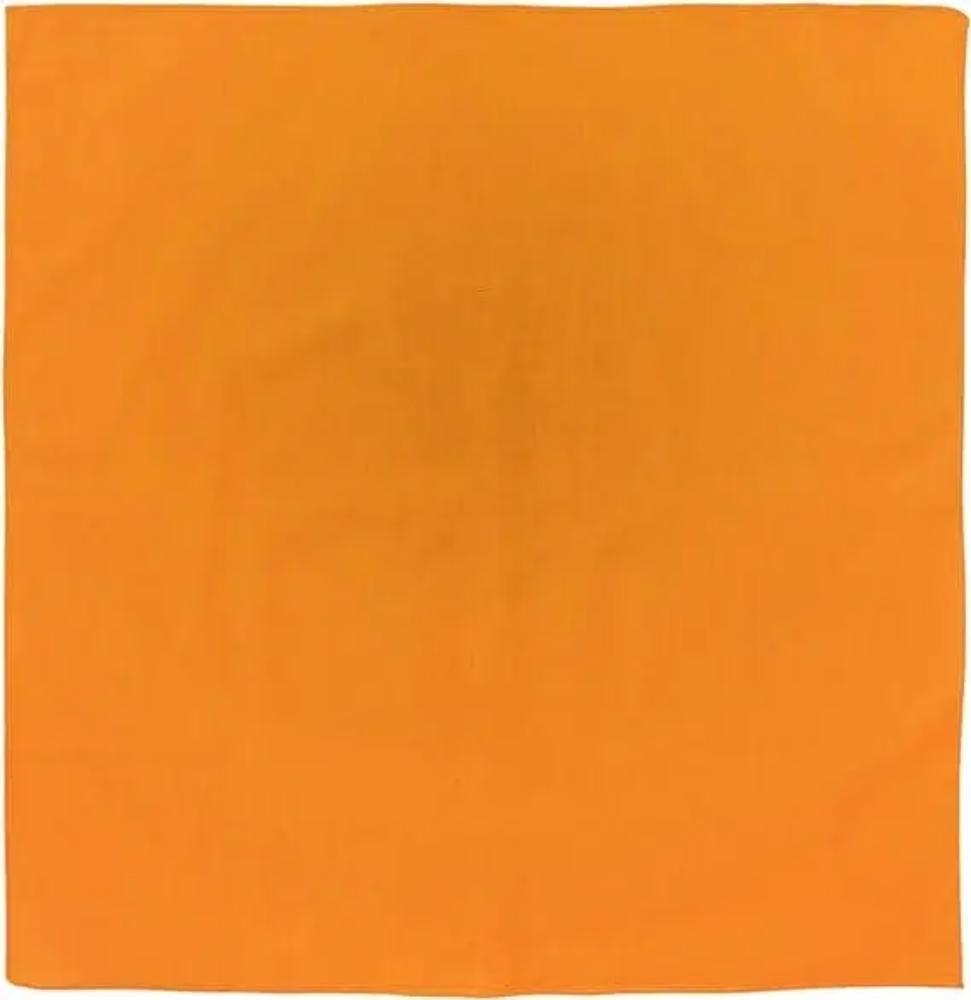 Liberty Mountain - Bandana Neon Orange