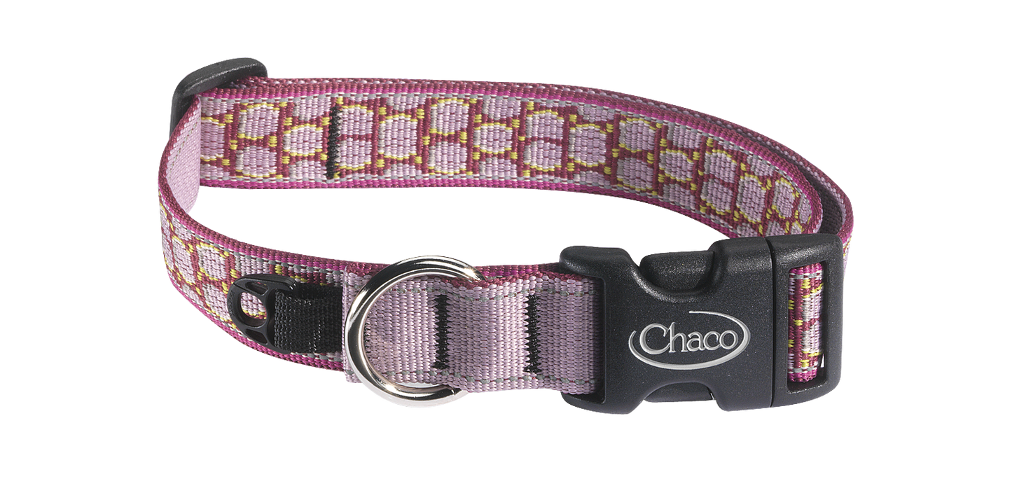 Chaco - Dog Collar - Static Black