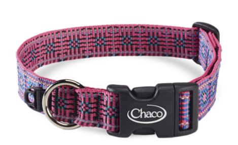 Chaco - Dog Collar - Static Black