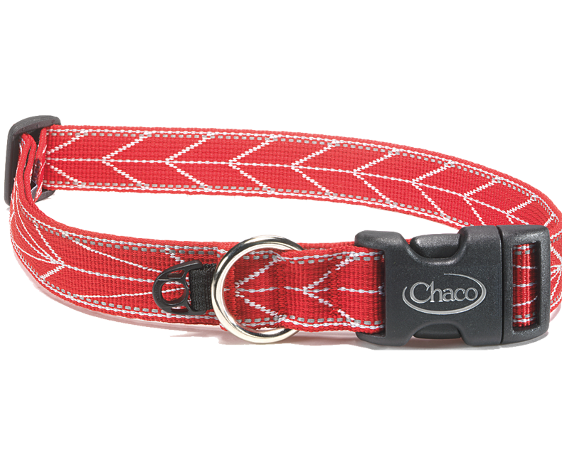 Chaco - Dog Collar - Static Black