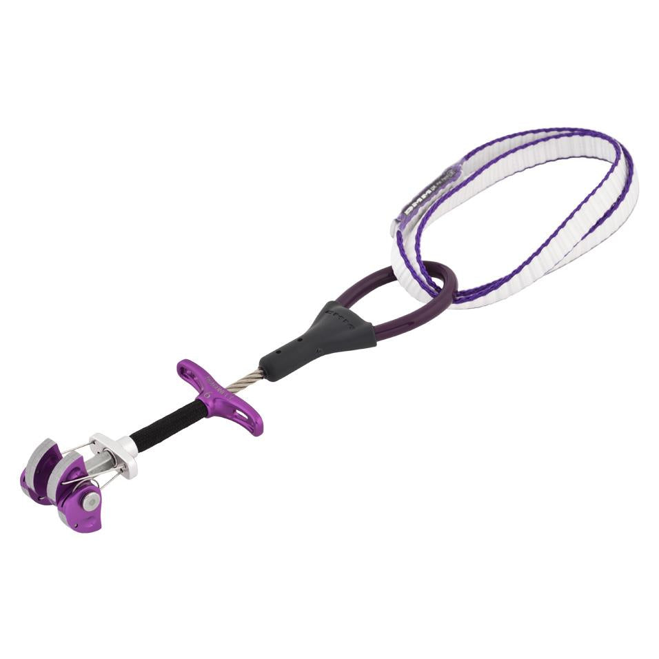 DMM - Dragonfly Cam