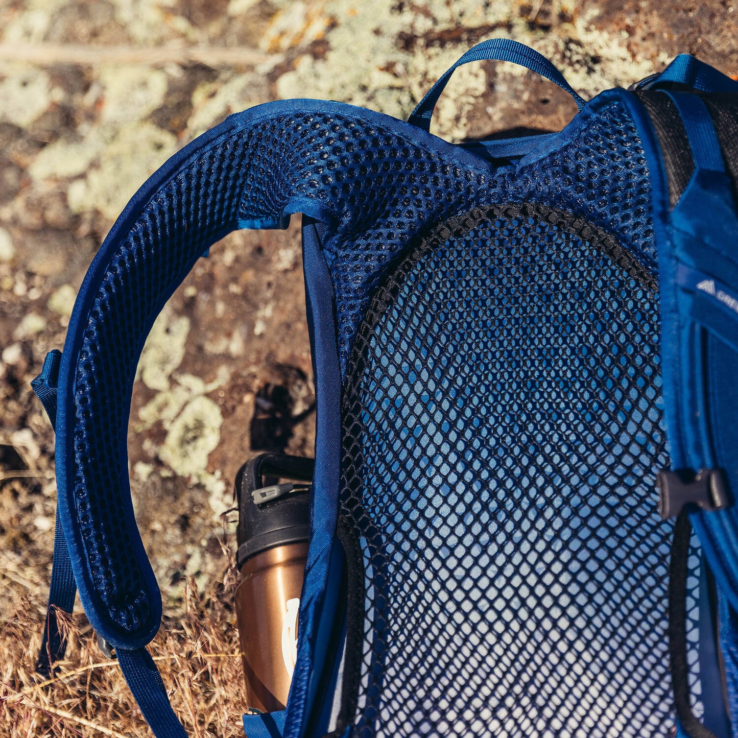 Gregory - Arrio 22 Plus Size Day Pack - Empire Blue