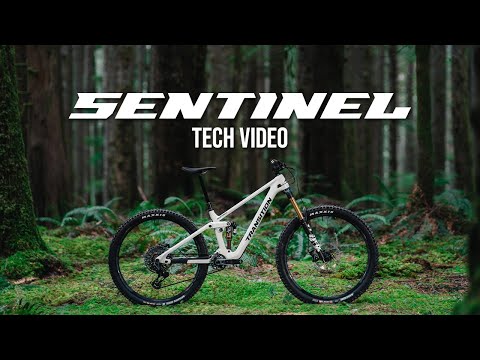 Transition - Sentinel Alloy Deore - Deep Purple