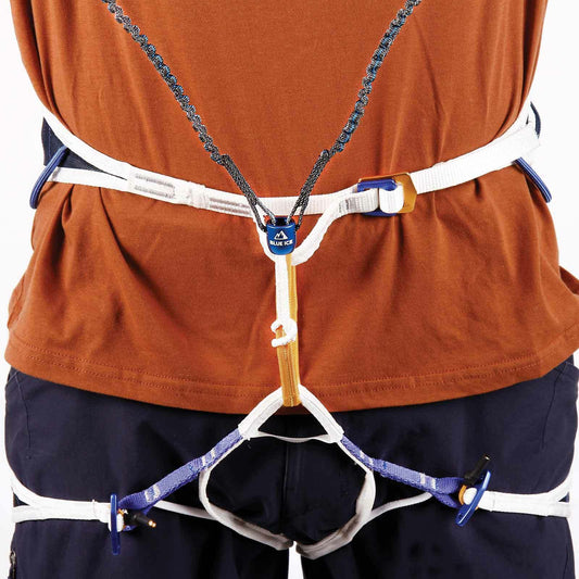 Blue Ice - Hydra Leash - Blue