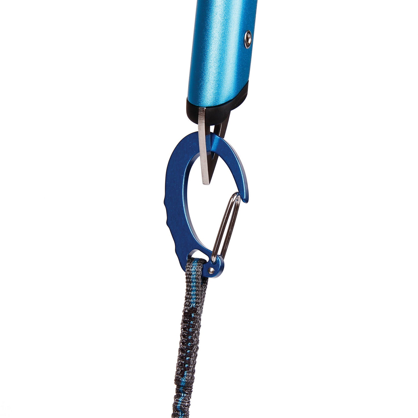 Blue Ice - Hydra Leash - Blue