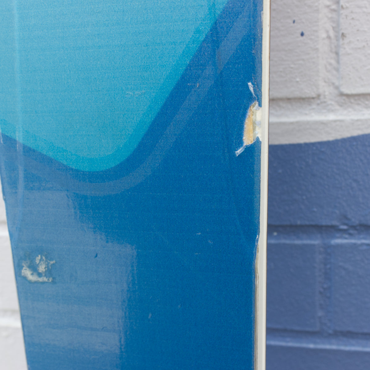 BLIZZARD - Demo Rustler 10 with Bindings & Skins - 188