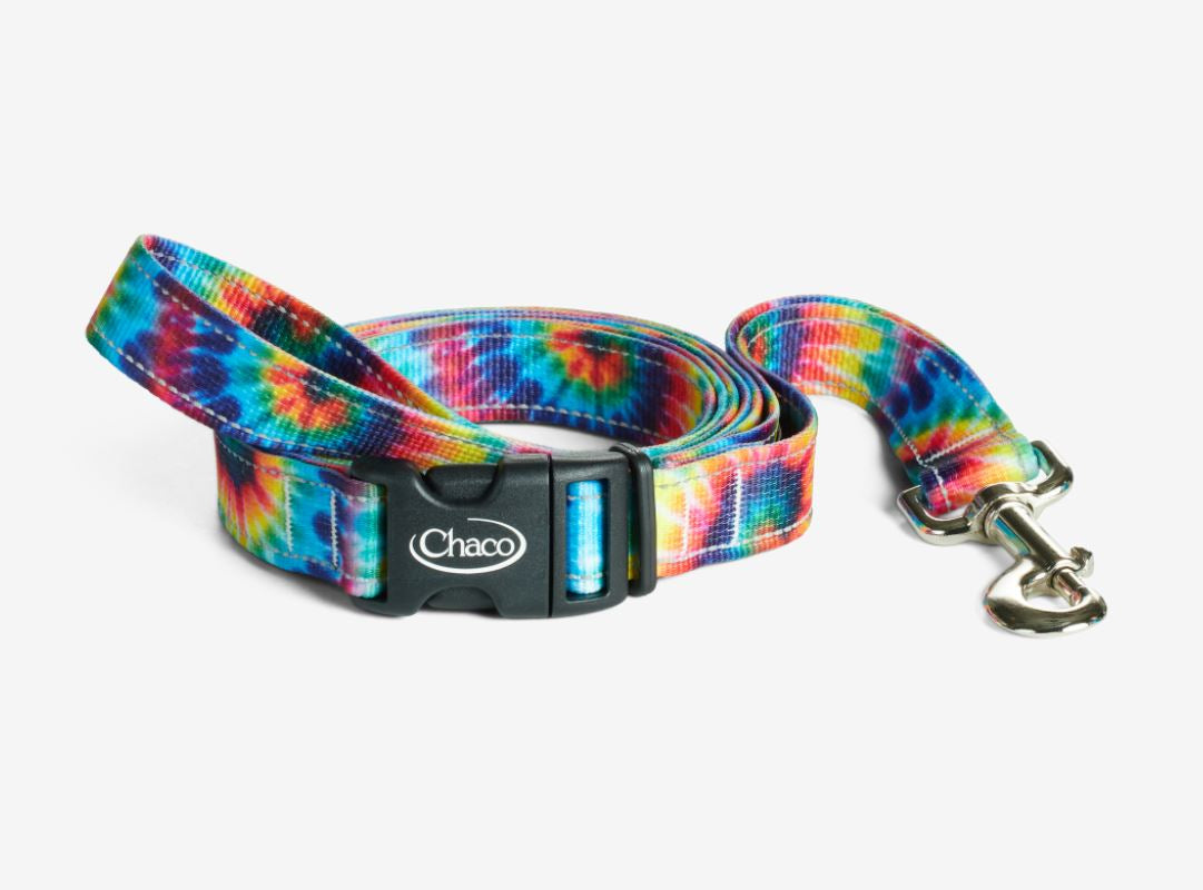 Chaco - Dog Leash - Cerulean