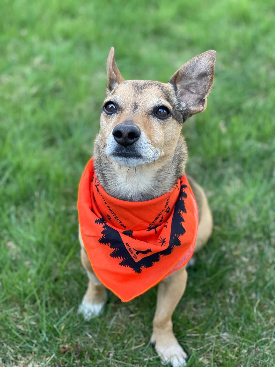 Bens - Bandana with Insect Shield - Dog