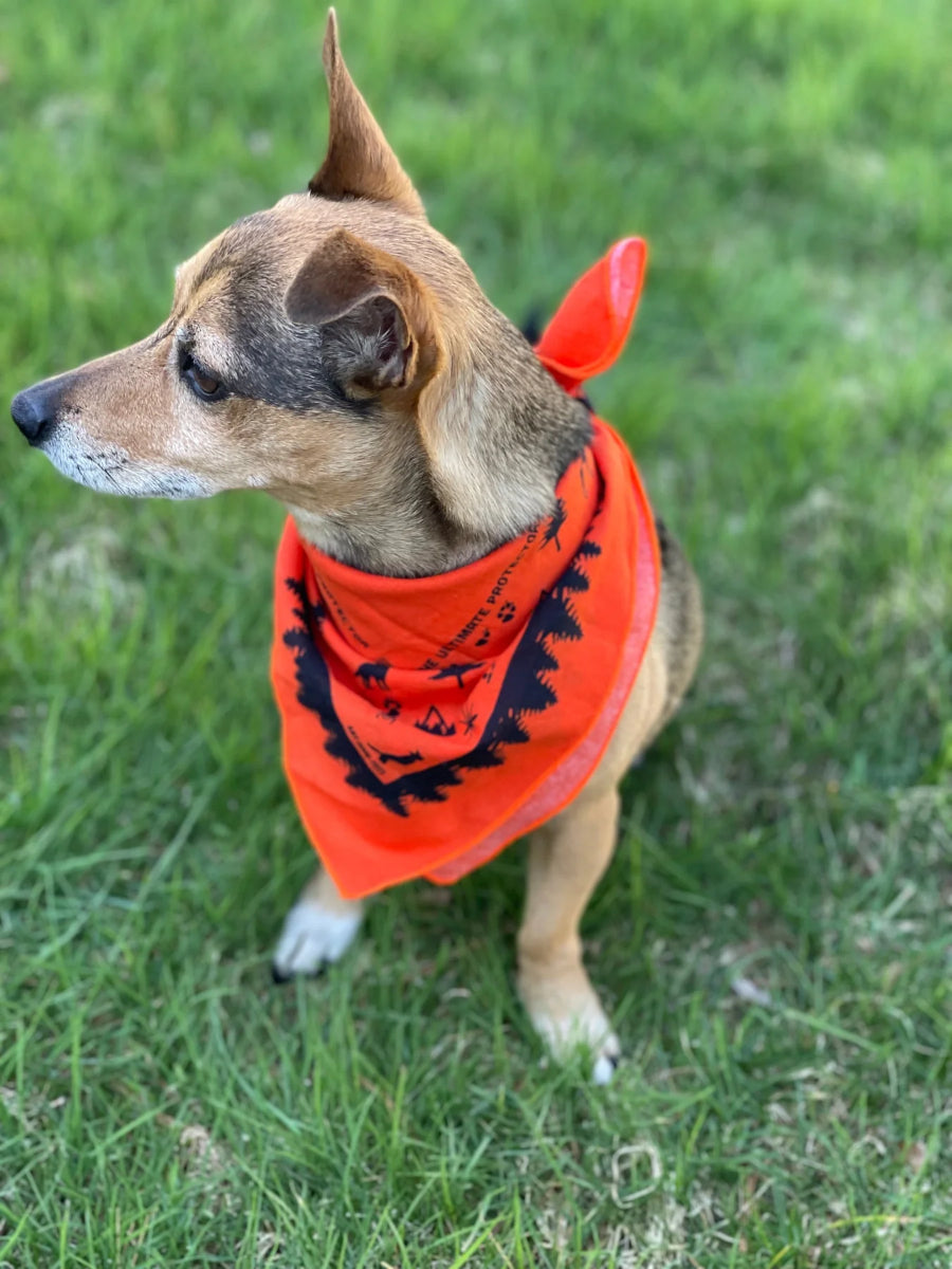 Bens - Bandana with Insect Shield - Dog