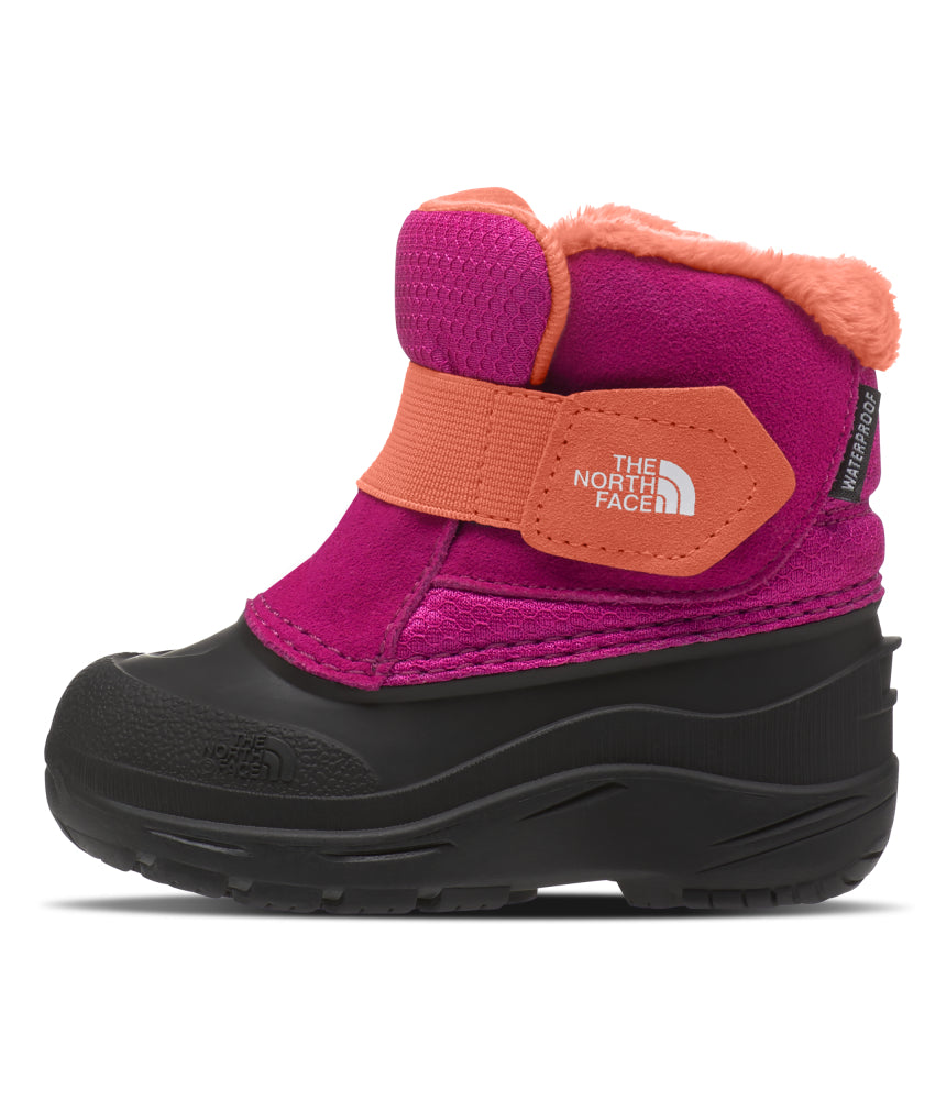 The North Face - Toddler Alpenglow II - Boysenberry/TNF Black