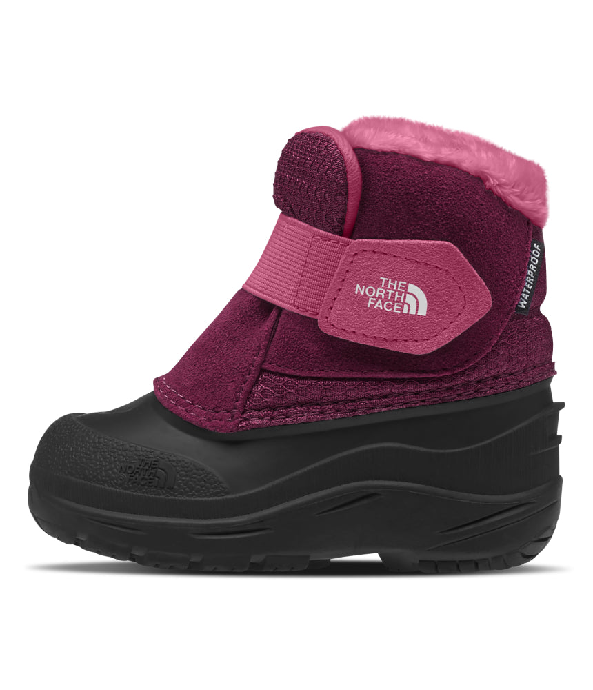 The North Face - Toddler Alpenglow II - Boysenberry/TNF Black