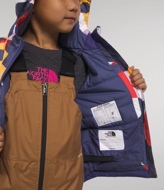 The North Face - Freedom Insulated Jacket - Kids' - Mr. Pink Big Abstract Print