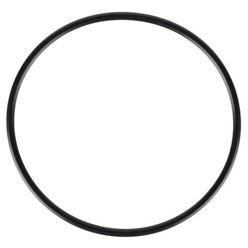 MSR - Filter Housing O Ring For Miniworks & WaterWorks Filters